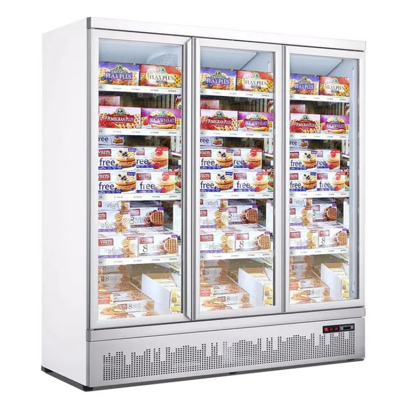 Congelatore verticale a doppia - Refrigerated Display Case recensione e prezzo