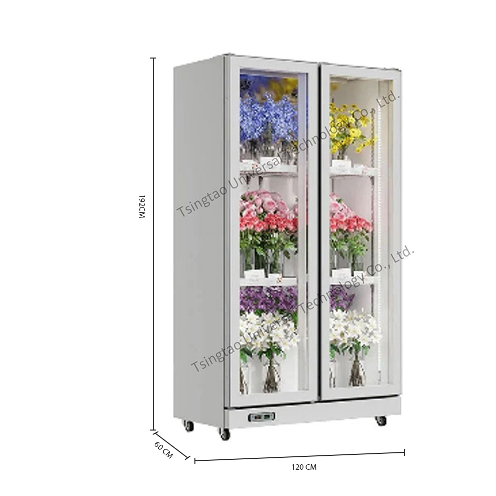 Vetrina Refrigerata per Fiori, - Refrigerated Display Case recensione e prezzo