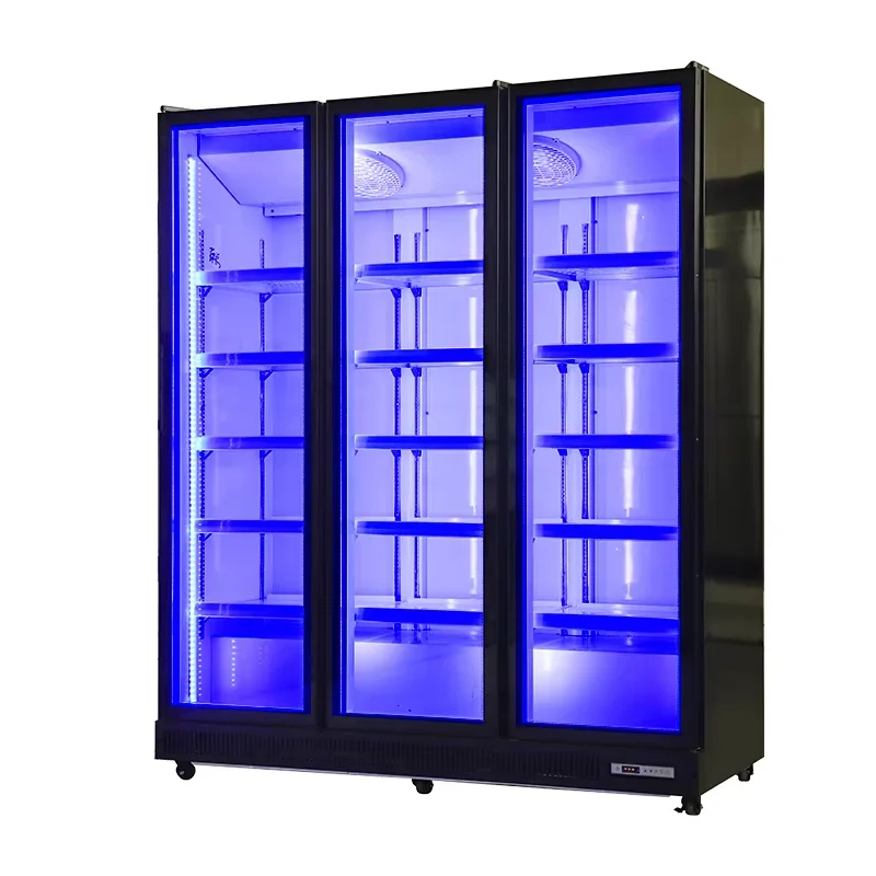 Frigorifero verticale commerci - Refrigerated Display Case recensione e prezzo